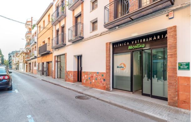 WOW-MONTAU-1-768x513